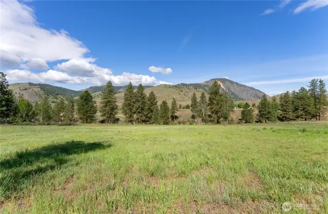 Looking west from the middle of the middle of the property.