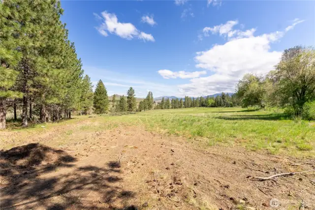 Looking north from the southeast corner of the property.
