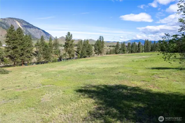 Plenty of room for your home, outbuildings, animals, and memories.