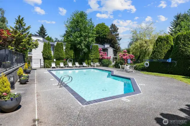 Great pool area