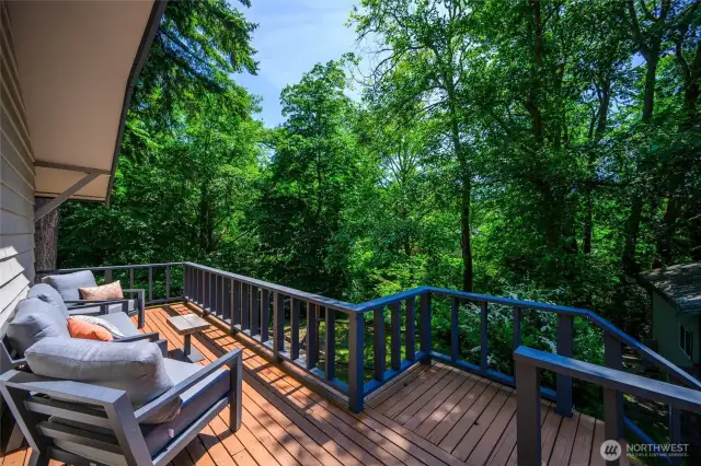 Views into the creek area