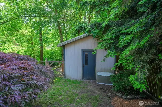 Garden Shed