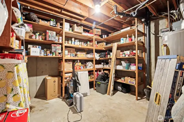 Downstairs Storage or large pantry