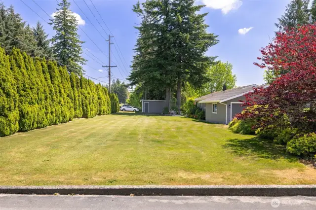 Extra large front yard