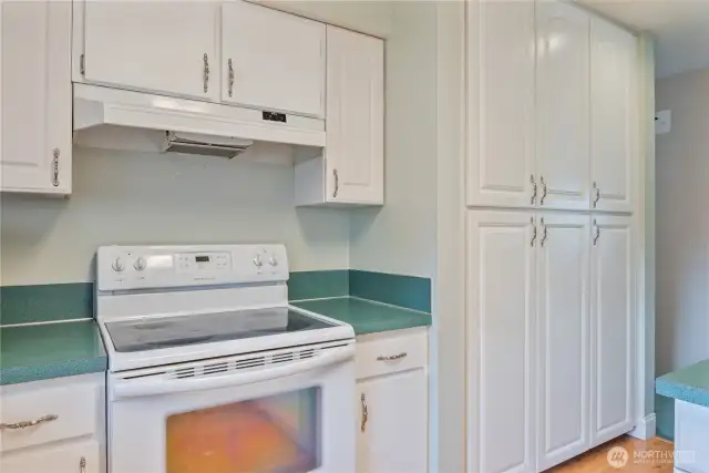 Large 'Pantry Wall' with PULL-OUT drawers!