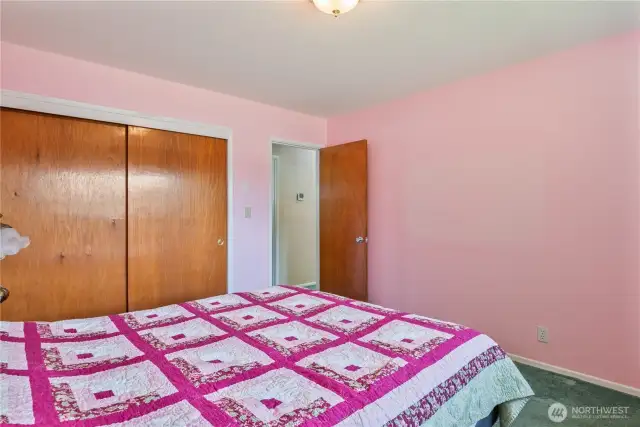Primary Bedroom with large closet (and closet organizer)