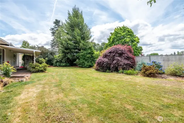 Patio cover and large trees provide shade; Back fence provides privacy