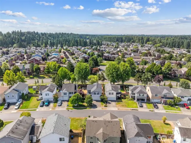 Aerial of Street
