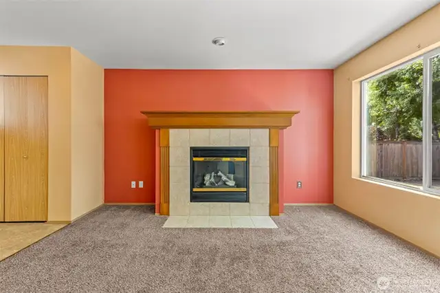 Main Level Fireplace