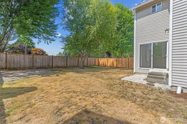 Fenced back yard