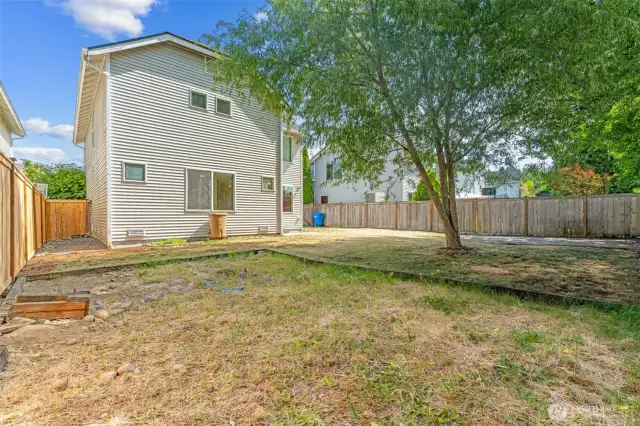 Fenced back yard
