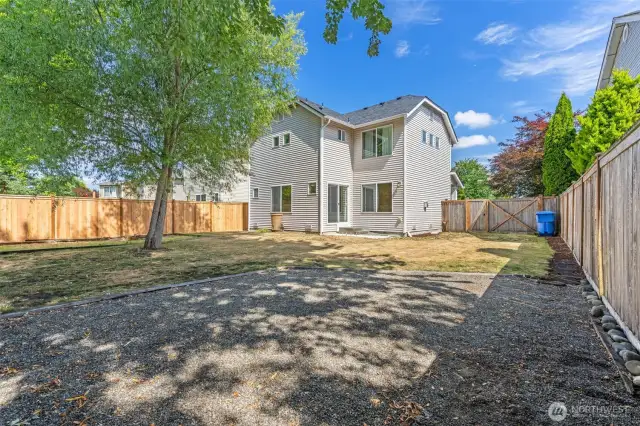Fenced back yard