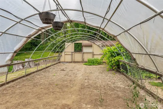 Green house and garden area