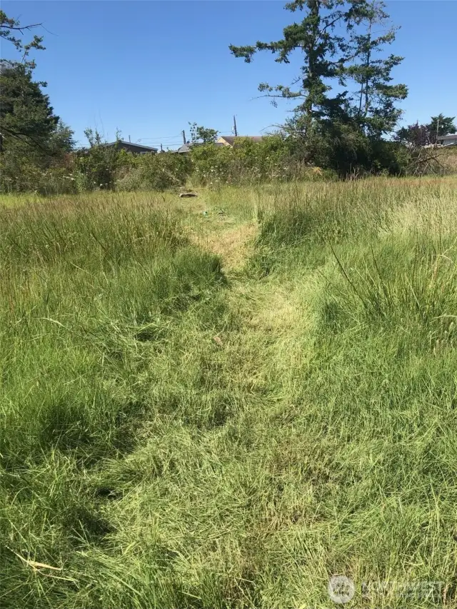 Great area to roam at the end of property near Terrill Creek.