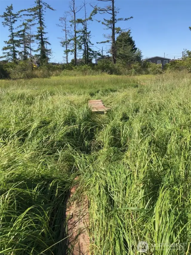 Lower property area with bridge.