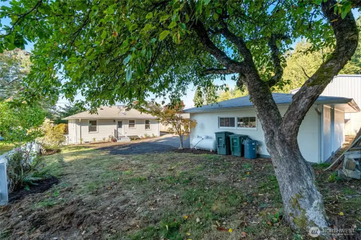 Rear yard space for gardening, your pets, and more. Note new propane tank on side of garage (leased).