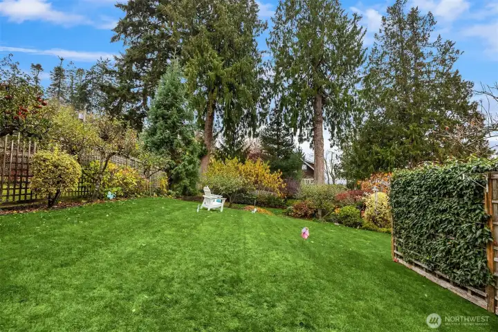 Plenty of space or garden or play