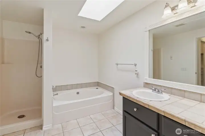 Primary bathroom with skylight