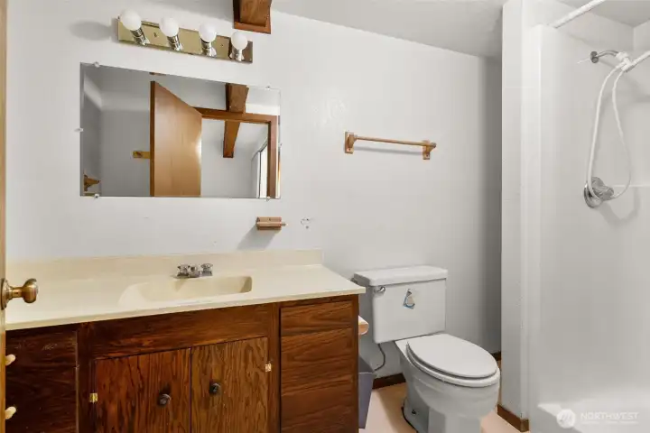 Lower level 3/4 bathroom