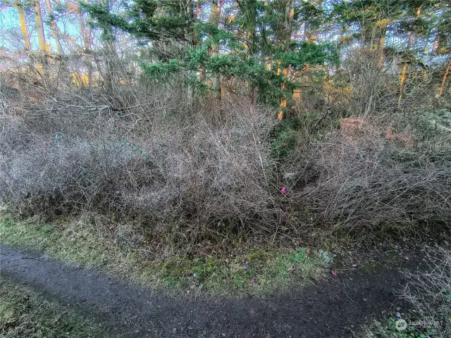 Trail Intersection Looking On Property