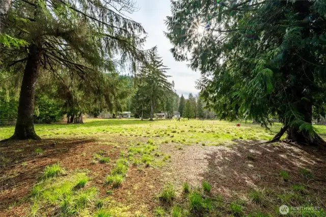 Plenty of well draining and dry acreage for your animals.