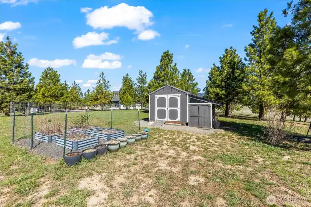 Garden shed with raised beds