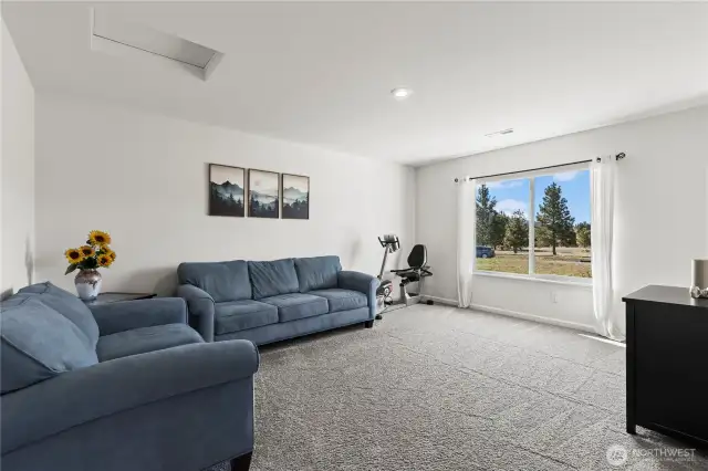 Bonus/Flex Room