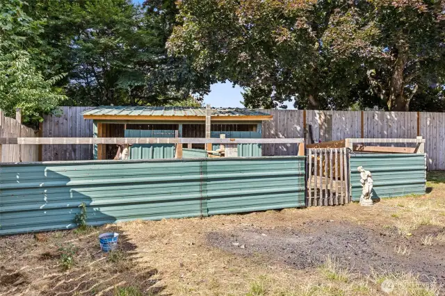 Goats & Chickens in the yard