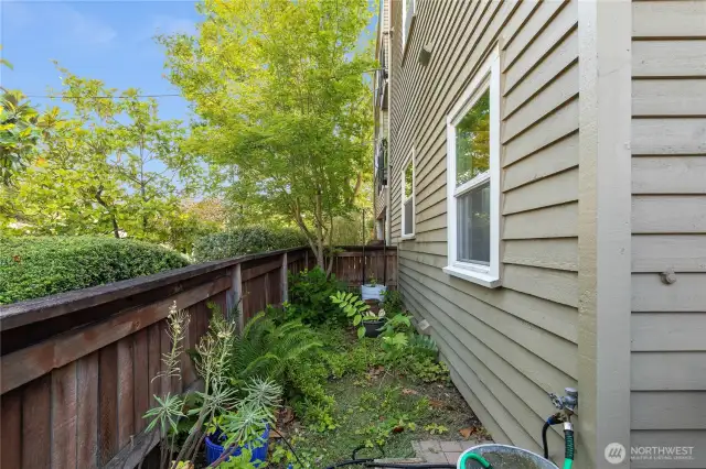 Garden space on the northeast side of the patio...