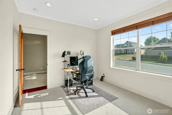 Downstairs bedroom/office