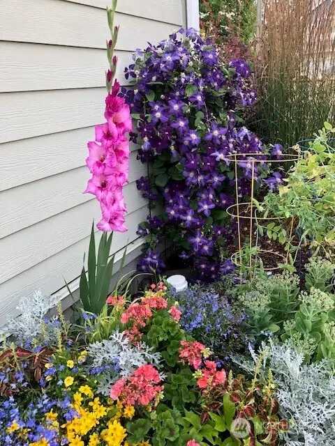 A lot of color