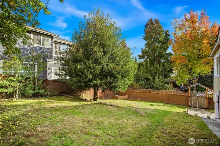 A view to the NE corner of the property.