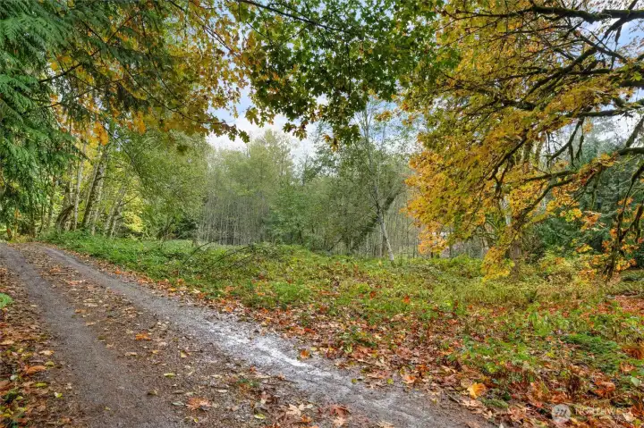 Back side of property