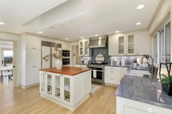newly remodeled kitchen with extra high end appliances