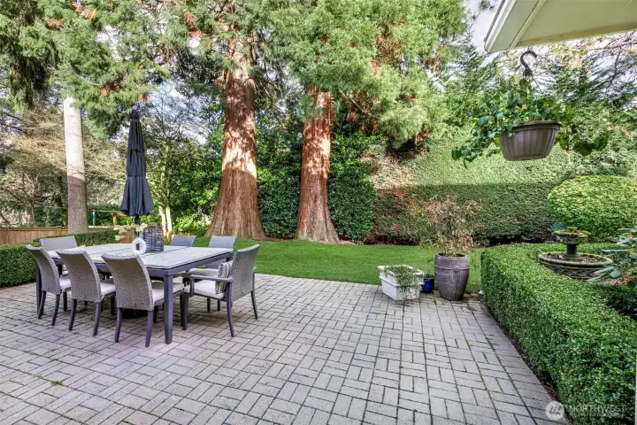 Entertainment back patio