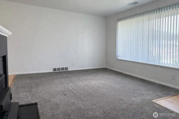 Living with Natural Light