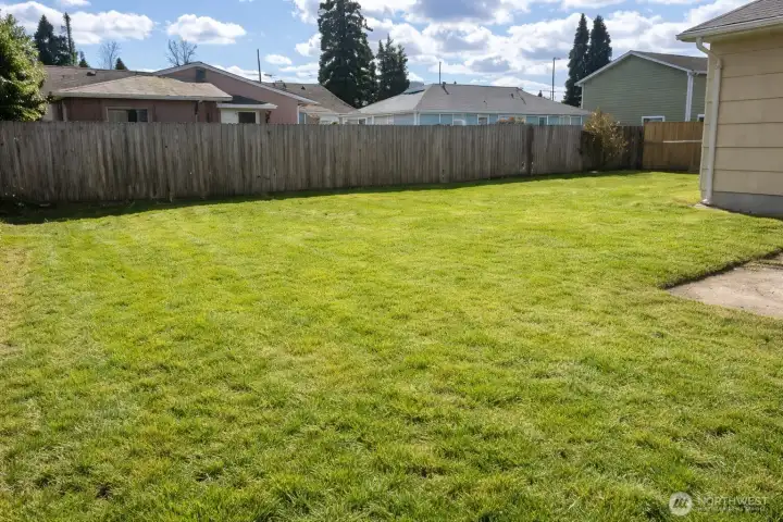 Large Back Yard