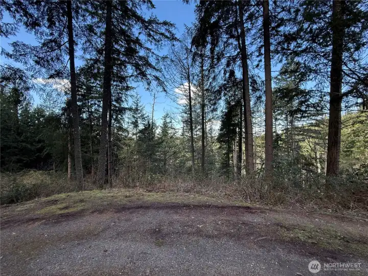 Looking towards lake from lot