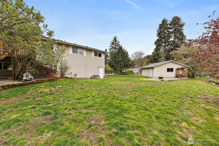MASSIVE yard!