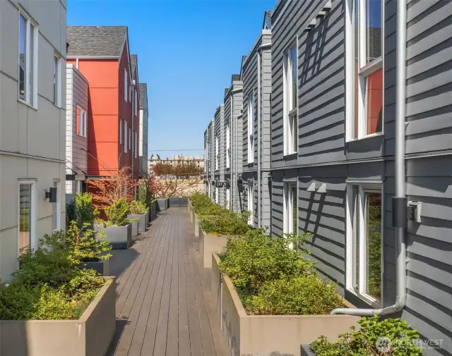Inner gated courtyard with greenery - a level up from the street.
