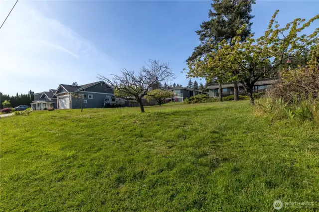 Gentle slope on lot allows for multi-possible options for style of home.