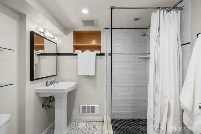Lower Level Bathroom