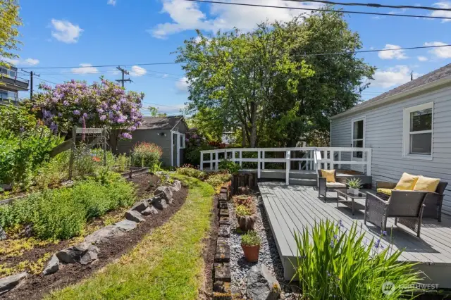 So Many Options in this Yard