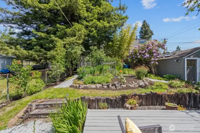 Terraced Yard