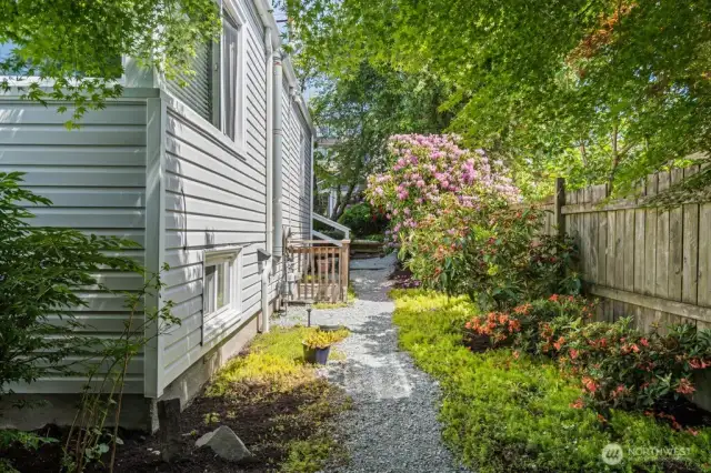 Side Yard