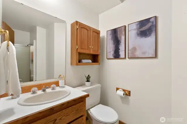 Lower level bath