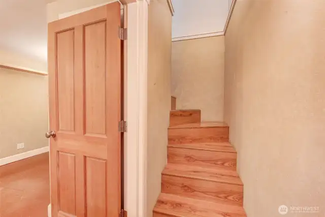 Stairs going up to the main level.