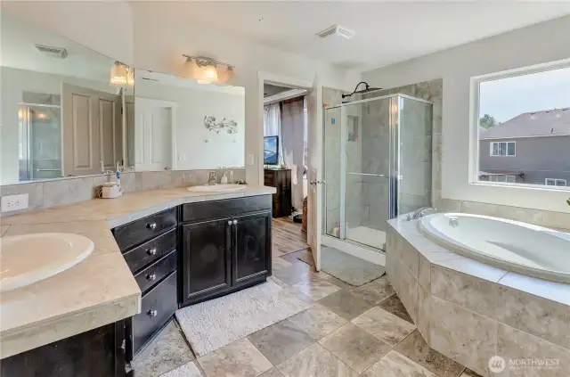 Unwind in the spa-like primary bath featuring a soaking tub, walk-in shower, dual sinks, and abundant natural light—your perfect daily retreat