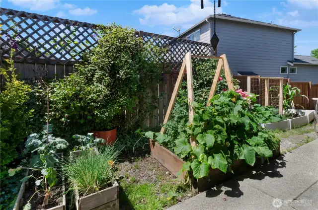 This vibrant backyard garden is bursting with life! Raised beds, trellises, and a variety of veggies make it a perfect space for anyone looking to grow their own food and soak in the sunshine.