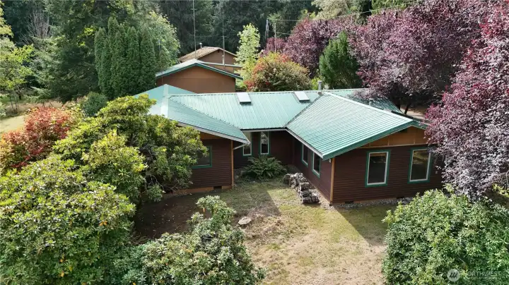 Mature fruit trees and Rhododendrons surround home.